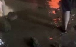 赶海变“荒野求生” ！91人深夜被困小岛