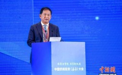 2025中国侨商投资（海南）大会在海口开幕