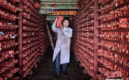 探访“藏族文化大百科全书”——德格印经院