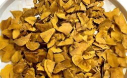 解锁桑黄密码：功效大起底