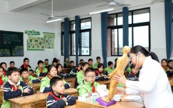 传承中医药文化 感受中医智慧魅力