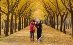 秋天多去公园走走，有这三个治愈身心的功效