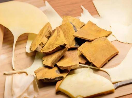 解锁桑黄密码:功效大起底 解锁桑黄密码:功效大起底 投资理财