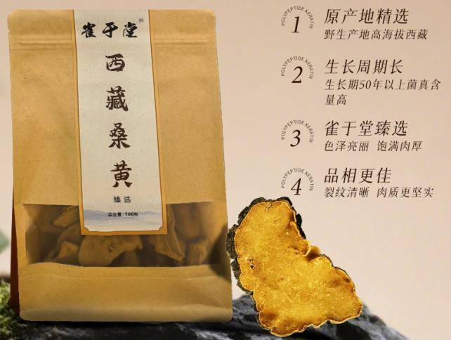 解锁桑黄密码:功效大起底 解锁桑黄密码:功效大起底 投资理财