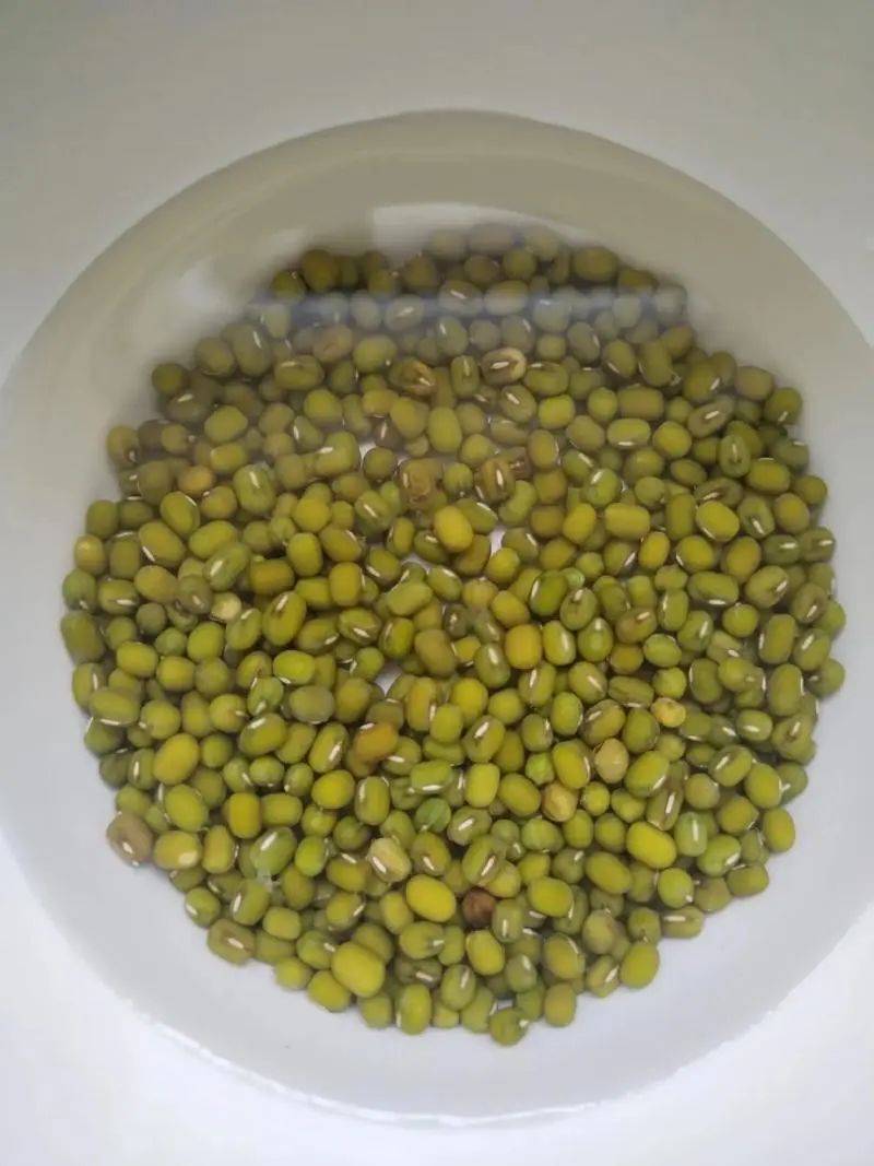 收藏！夏日消暑必备！绿豆汤这样煮，功效翻倍！ 收藏！夏日消暑必备！绿豆汤这样煮，功效翻倍！ 百事百科