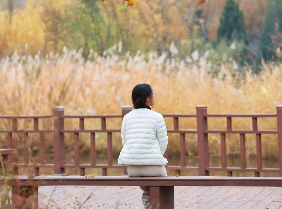 秋天多去公园走走,有这三个治愈身心的功效 秋天多去公园走走,有这三个治愈身心的功效 投资理财