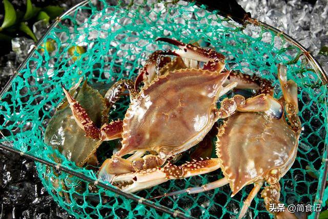 买螃蟹有窍门,牢记这3个字,摊贩一看是“老手”,才不敢忽悠你 买螃蟹有窍门,牢记这3个字,摊贩一看是“老手”,才不敢忽悠你 生活窍门