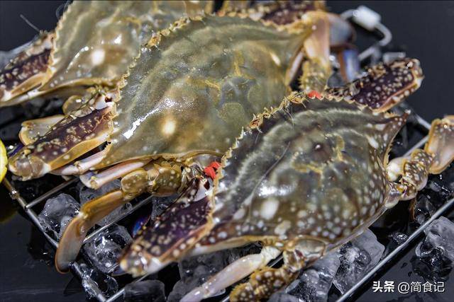 买螃蟹有窍门,牢记这3个字,摊贩一看是“老手”,才不敢忽悠你 买螃蟹有窍门,牢记这3个字,摊贩一看是“老手”,才不敢忽悠你 生活窍门