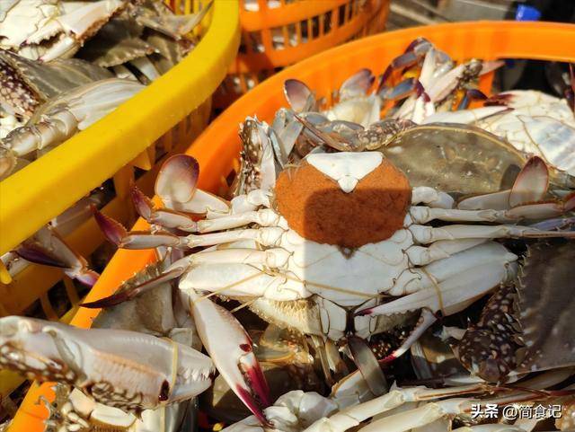 买螃蟹有窍门,牢记这3个字,摊贩一看是“老手”,才不敢忽悠你 买螃蟹有窍门,牢记这3个字,摊贩一看是“老手”,才不敢忽悠你 生活窍门