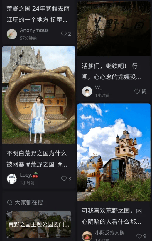 丽江荒野之国被骂惨背后 丽江荒野之国被骂惨背后 生活窍门