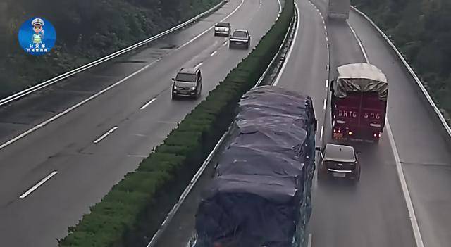 “夹缝”能生存吗？！ 热点新闻