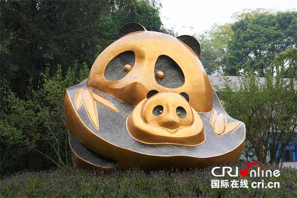 台湾青年:我们都爱大熊猫 台湾青年:我们都爱大熊猫 热点新闻