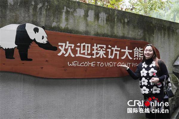 台湾青年:我们都爱大熊猫 台湾青年:我们都爱大熊猫 热点新闻