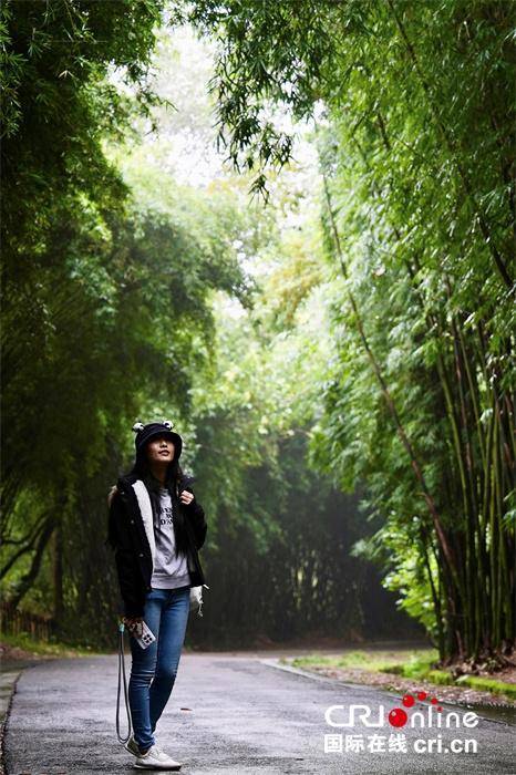 台湾青年:我们都爱大熊猫 台湾青年:我们都爱大熊猫 热点新闻