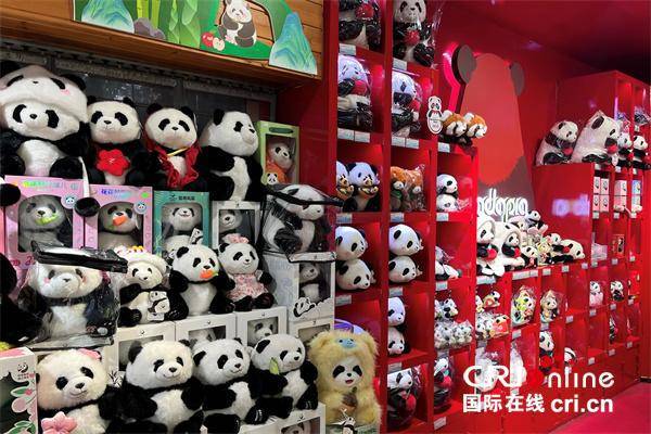 台湾青年:我们都爱大熊猫 台湾青年:我们都爱大熊猫 热点新闻