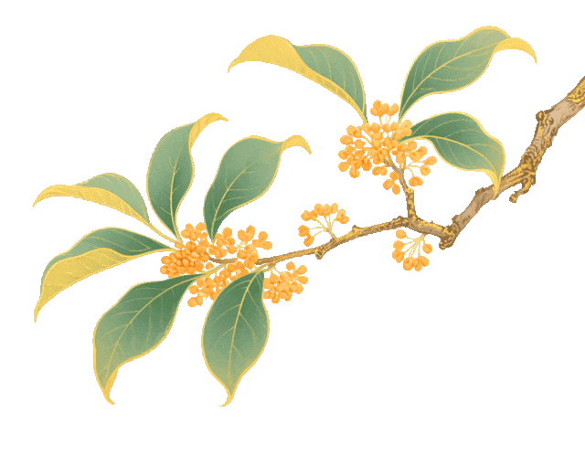 【中医夜市】烟火夜市藏“中医瑰宝”,燃动“双节”健康潮 【中医夜市】烟火夜市藏“中医瑰宝”,燃动“双节”健康潮 生活窍门